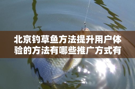 北京钓草鱼方法提升用户体验的方法有哪些推广方式有哪些