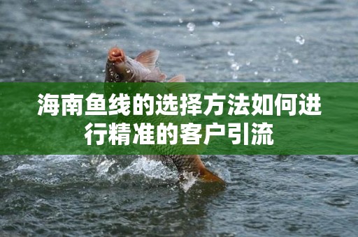 海南鱼线的选择方法如何进行精准的客户引流