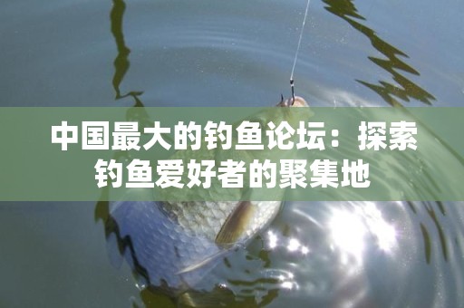 中国最大的钓鱼论坛：探索钓鱼爱好者的聚集地