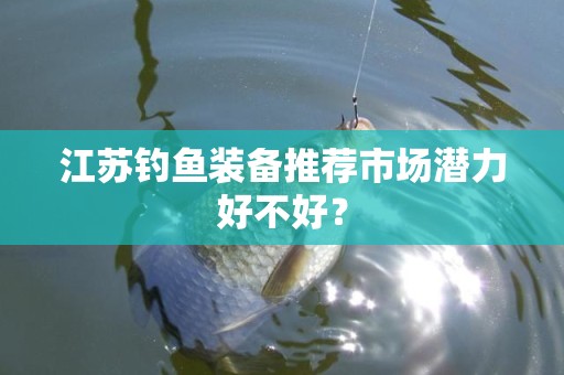 江苏钓鱼装备推荐市场潜力好不好？