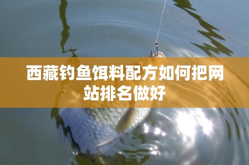 西藏钓鱼饵料配方如何把网站排名做好