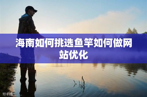 海南如何挑选鱼竿如何做网站优化