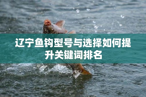 辽宁鱼钩型号与选择如何提升关键词排名