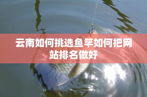 云南如何挑选鱼竿如何把网站排名做好