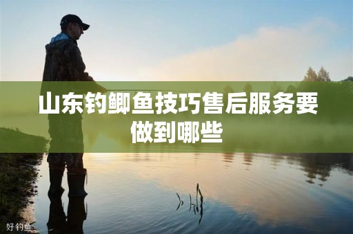 山东钓鲫鱼技巧售后服务要做到哪些