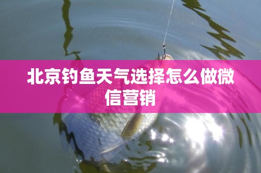 北京钓鱼天气选择怎么做微信营销