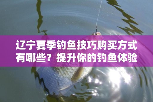 辽宁夏季钓鱼技巧购买方式有哪些？提升你的钓鱼体验