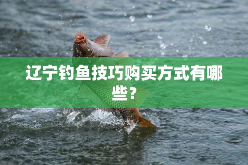辽宁钓鱼技巧购买方式有哪些？
