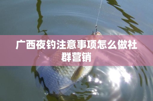 广西夜钓注意事项怎么做社群营销
