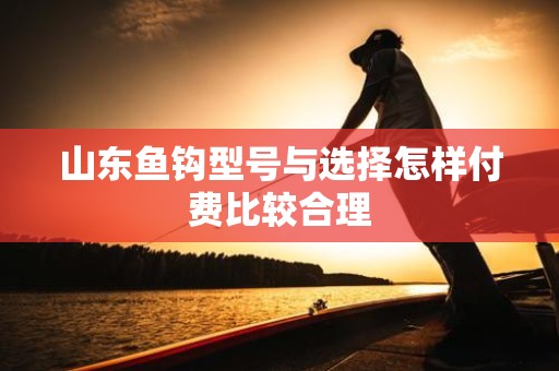 山东鱼钩型号与选择怎样付费比较合理