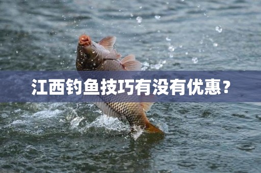 江西钓鱼技巧有没有优惠？