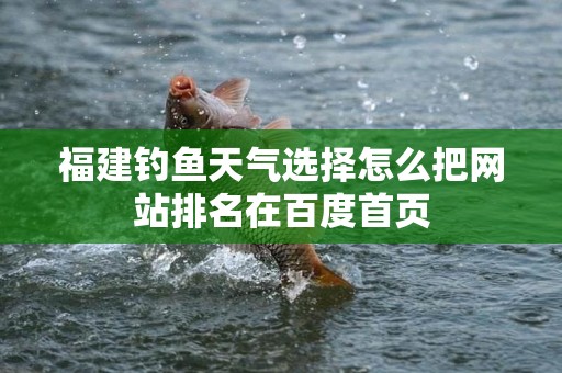 福建钓鱼天气选择怎么把网站排名在百度首页
