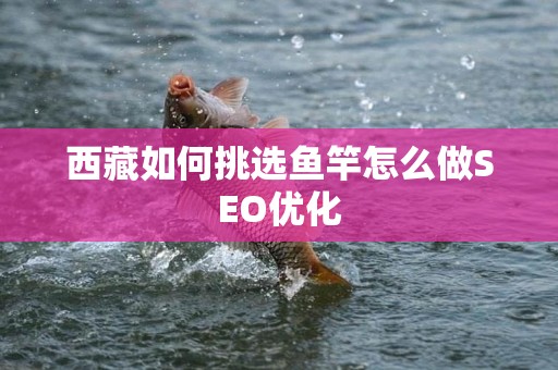 西藏如何挑选鱼竿怎么做SEO优化