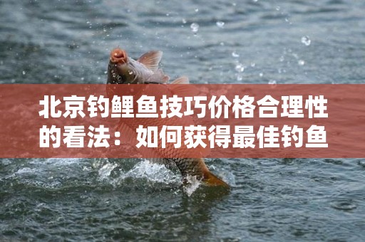 北京钓鲤鱼技巧价格合理性的看法：如何获得最佳钓鱼体验