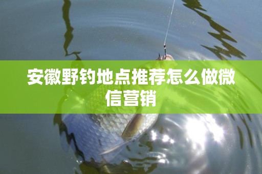 安徽野钓地点推荐怎么做微信营销