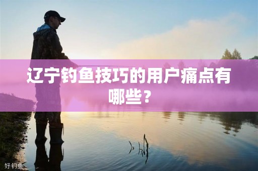 辽宁钓鱼技巧的用户痛点有哪些？