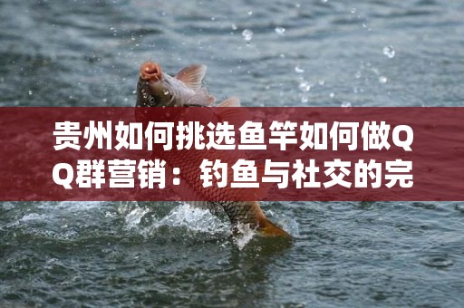 贵州如何挑选鱼竿如何做QQ群营销：钓鱼与社交的完美结合