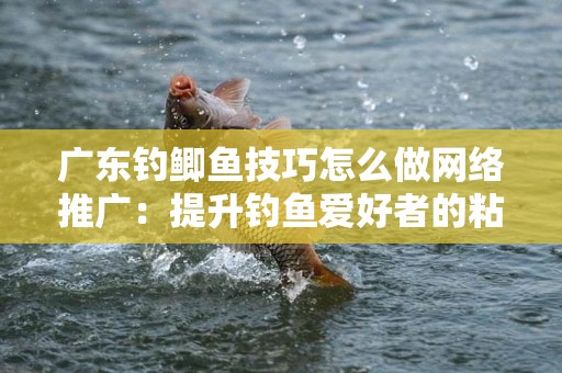 广东钓鲫鱼技巧怎么做网络推广：提升钓鱼爱好者的粘性