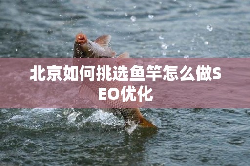 北京如何挑选鱼竿怎么做SEO优化