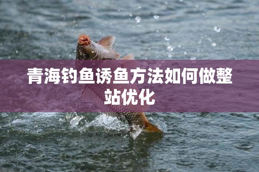 青海钓鱼诱鱼方法如何做整站优化