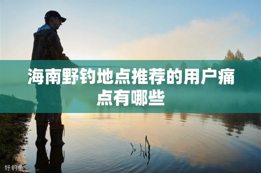 海南野钓地点推荐的用户痛点有哪些