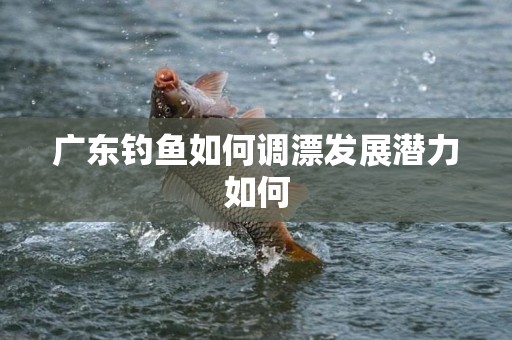 广东钓鱼如何调漂发展潜力如何