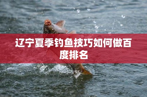 辽宁夏季钓鱼技巧如何做百度排名