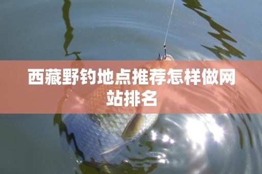 西藏野钓地点推荐怎样做网站排名