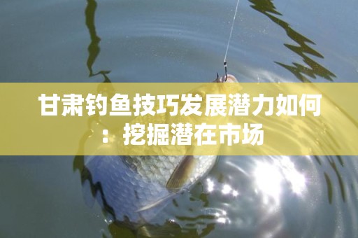 甘肃钓鱼技巧发展潜力如何：挖掘潜在市场