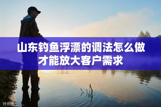 山东钓鱼浮漂的调法怎么做才能放大客户需求