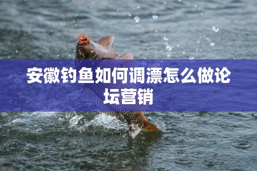安徽钓鱼如何调漂怎么做论坛营销
