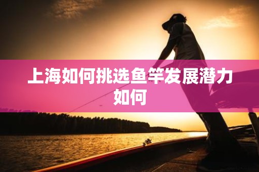 上海如何挑选鱼竿发展潜力如何
