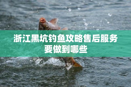 浙江黑坑钓鱼攻略售后服务要做到哪些