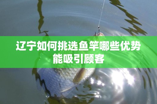 辽宁如何挑选鱼竿哪些优势能吸引顾客