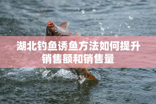 湖北钓鱼诱鱼方法如何提升销售额和销售量