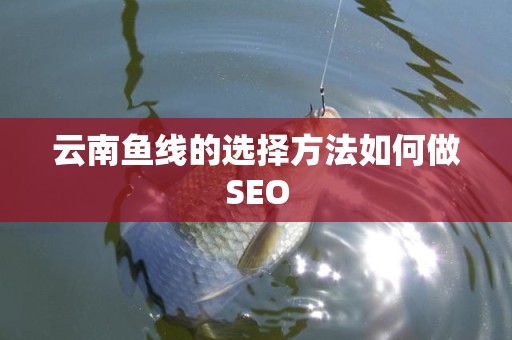 云南鱼线的选择方法如何做SEO