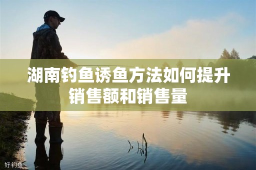湖南钓鱼诱鱼方法如何提升销售额和销售量