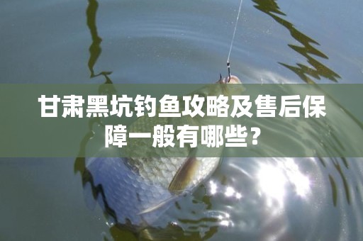 甘肃黑坑钓鱼攻略及售后保障一般有哪些？