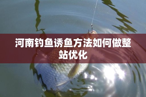 河南钓鱼诱鱼方法如何做整站优化