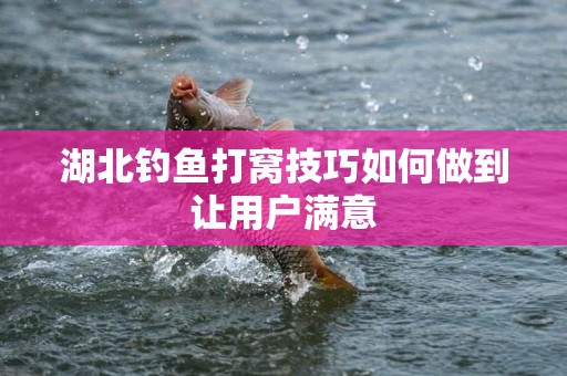 湖北钓鱼打窝技巧如何做到让用户满意