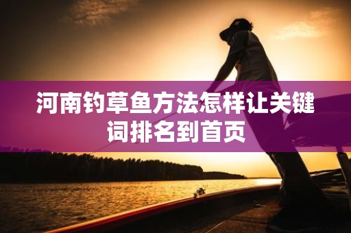 河南钓草鱼方法怎样让关键词排名到首页