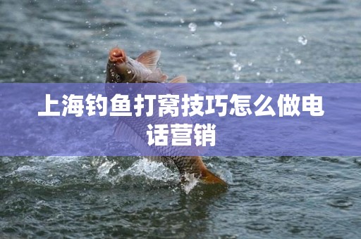 上海钓鱼打窝技巧怎么做电话营销