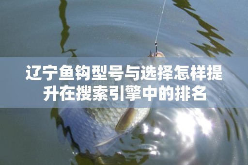 辽宁鱼钩型号与选择怎样提升在搜索引擎中的排名