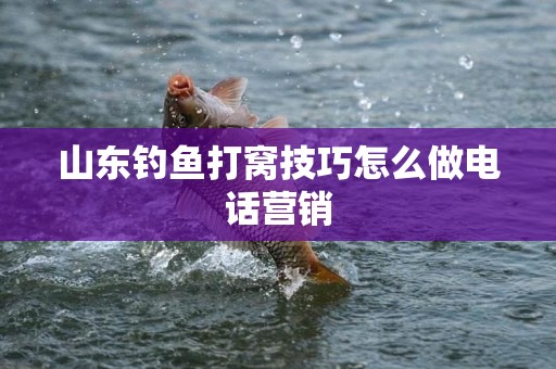 山东钓鱼打窝技巧怎么做电话营销