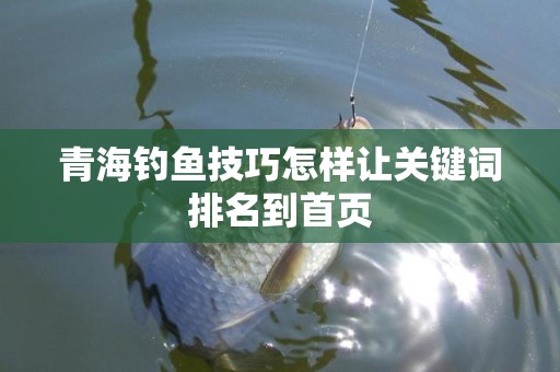 青海钓鱼技巧怎样让关键词排名到首页