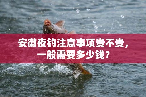 安徽夜钓注意事项贵不贵，一般需要多少钱？