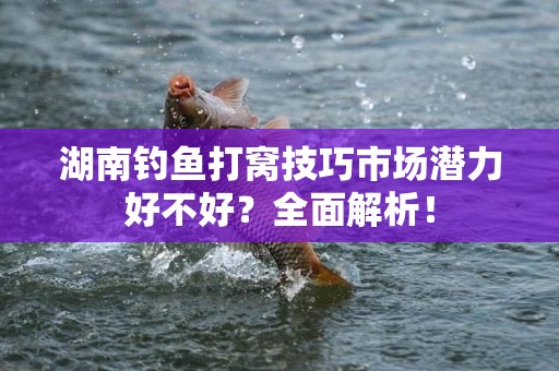 湖南钓鱼打窝技巧市场潜力好不好？全面解析！