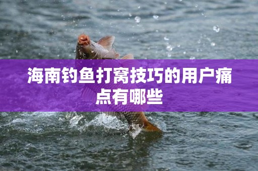 海南钓鱼打窝技巧的用户痛点有哪些