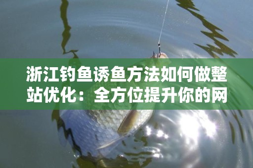 浙江钓鱼诱鱼方法如何做整站优化：全方位提升你的网站流量