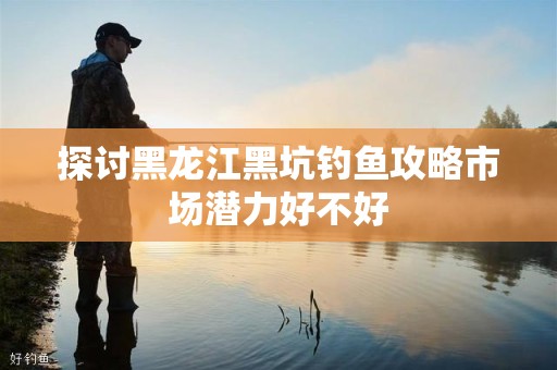 探讨黑龙江黑坑钓鱼攻略市场潜力好不好